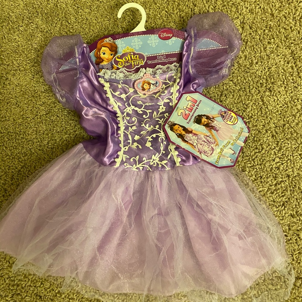 3+ Sophia the first dress up costume
